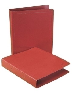 CARPETA SARO CART.Fº AP.2 AN.25